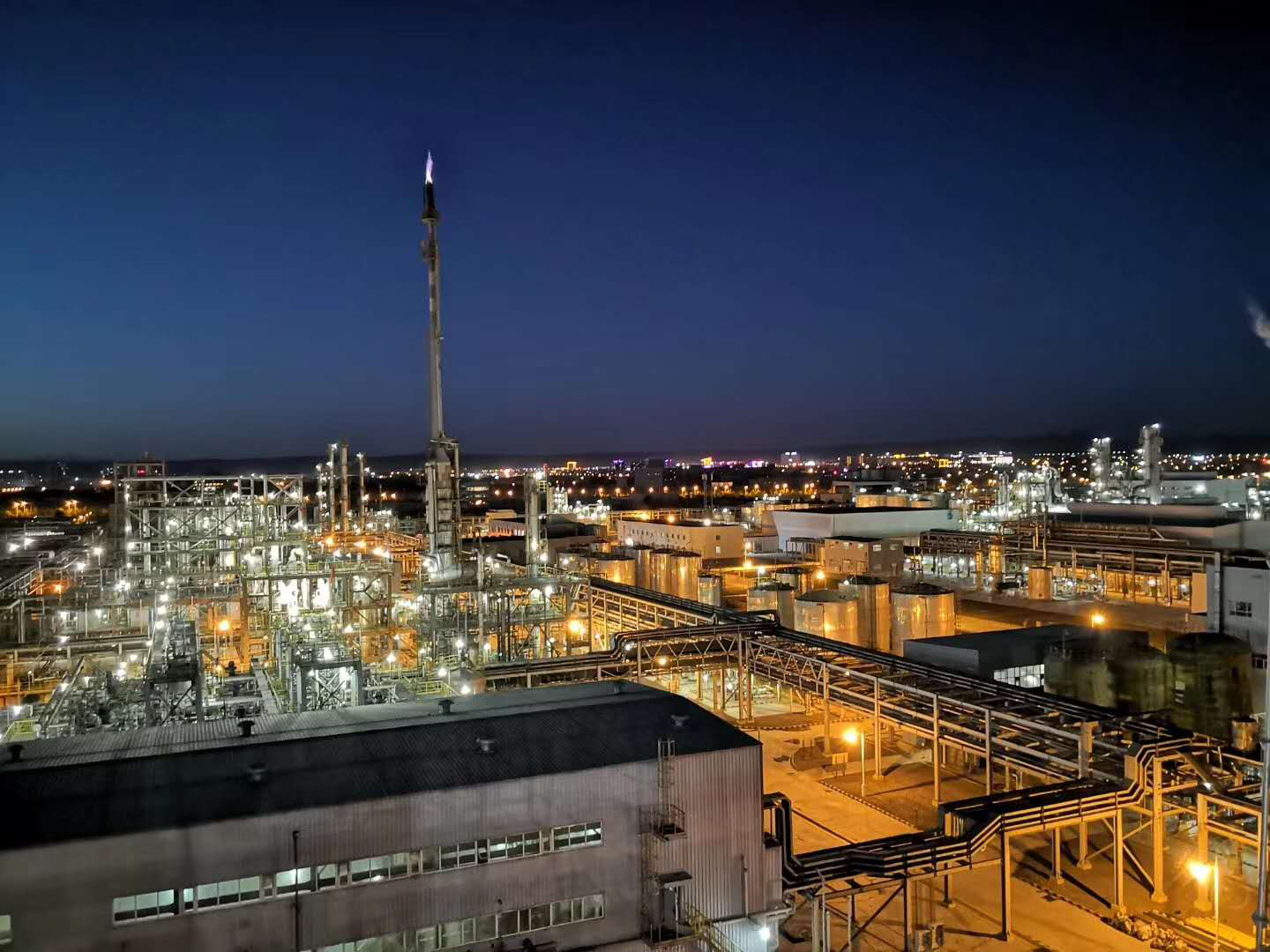 新疆美克化工BDO裝置焦油綜合利用項目有機廢液焚燒爐系統(tǒng)